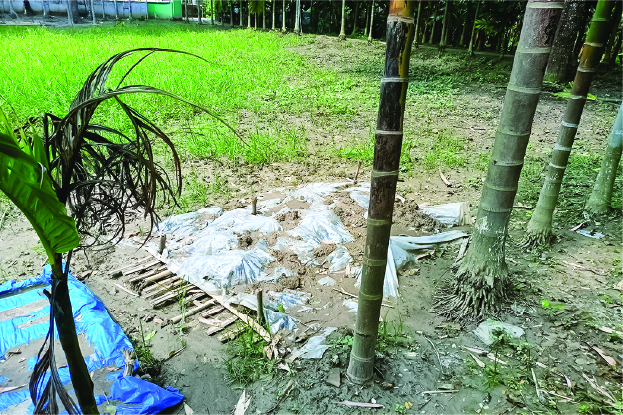 Image of মো: রমজান আলী